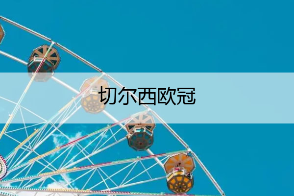 切爾西歐冠_切爾西歐冠陣容
